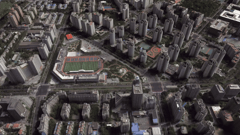 image1.gif
