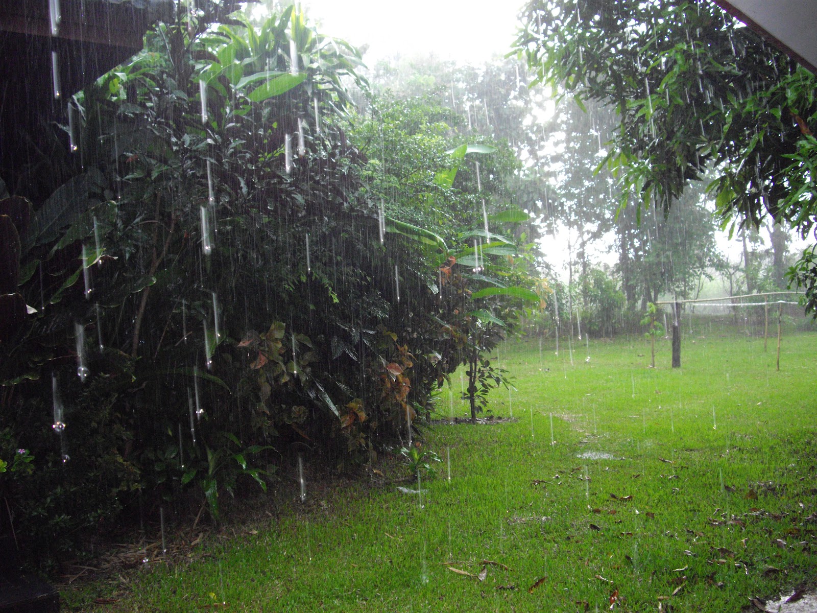 Бангкок осадки. Таиланд дождь. Дождь в Бангкоке. Muson PFP. Laos Rain.